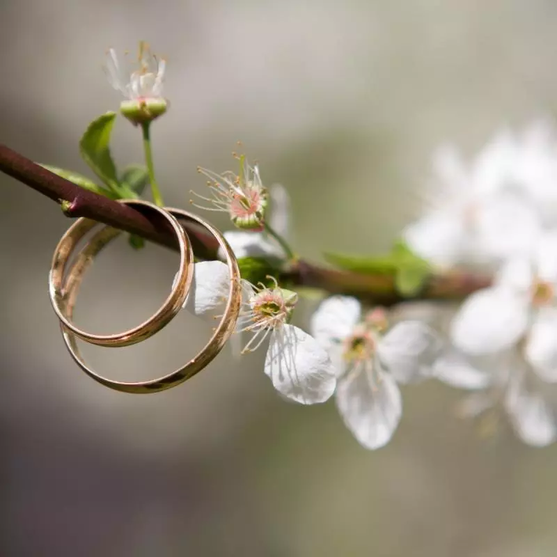 Tips Memilih Cincin Tunangan dan Cincin Nikah